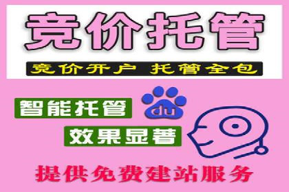sem代运营机构实战案例：提升网站流量与转化率